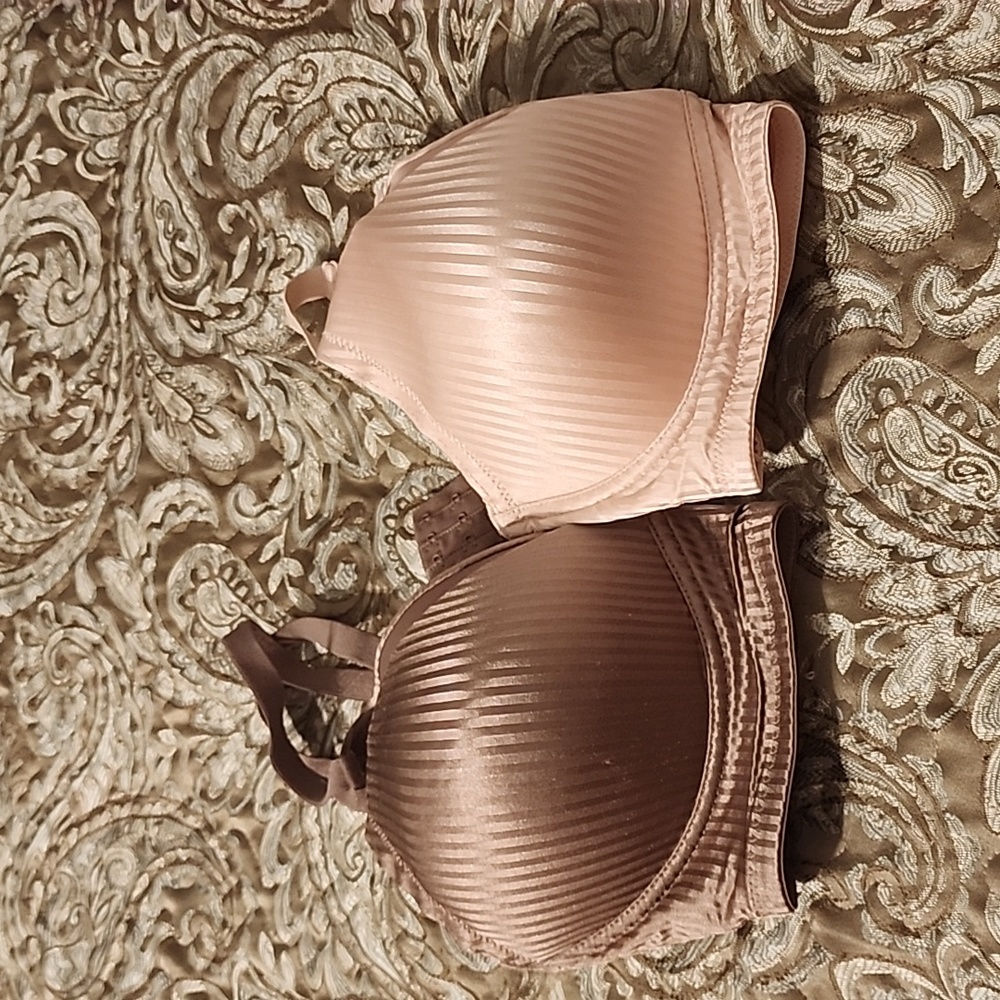Adrienne Vittadini bras, sz 38C